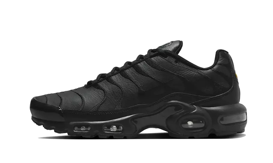 Nike Air Max Plus Triple Black Leather  AJ2029-001 MTHOR SHOP