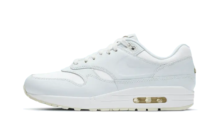 Nike Air Max 1 Asparagus - DH5493-100