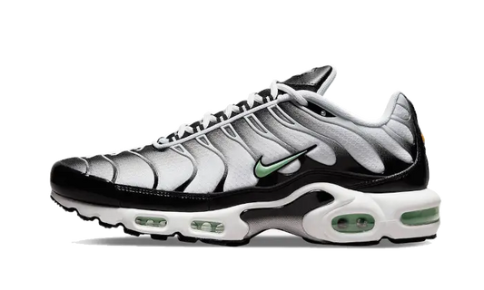 Air Max Plus Seafoam Grey Black - MTHOR SHOP