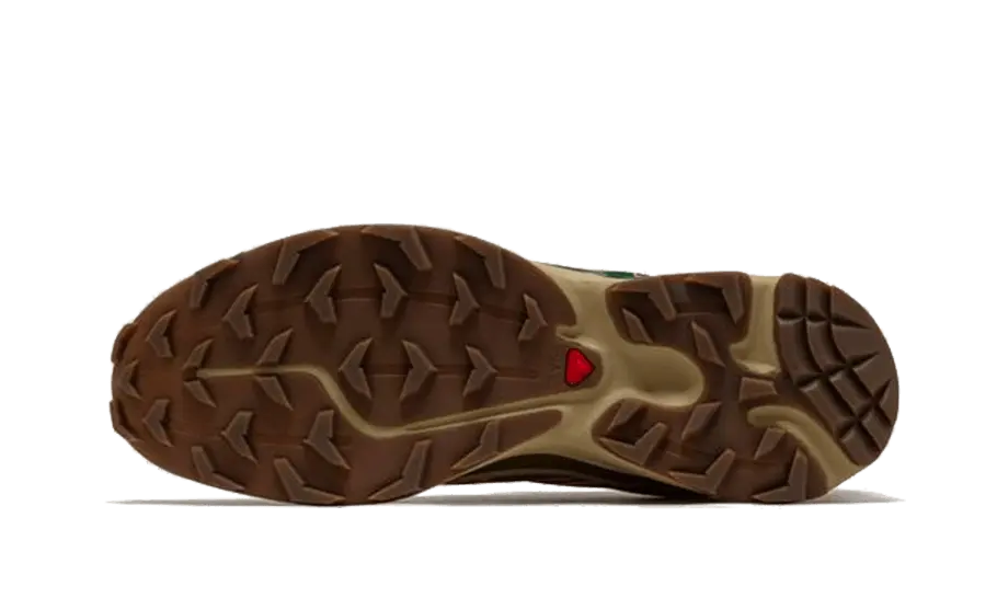 Salomon XT-6 Rubber Lizard